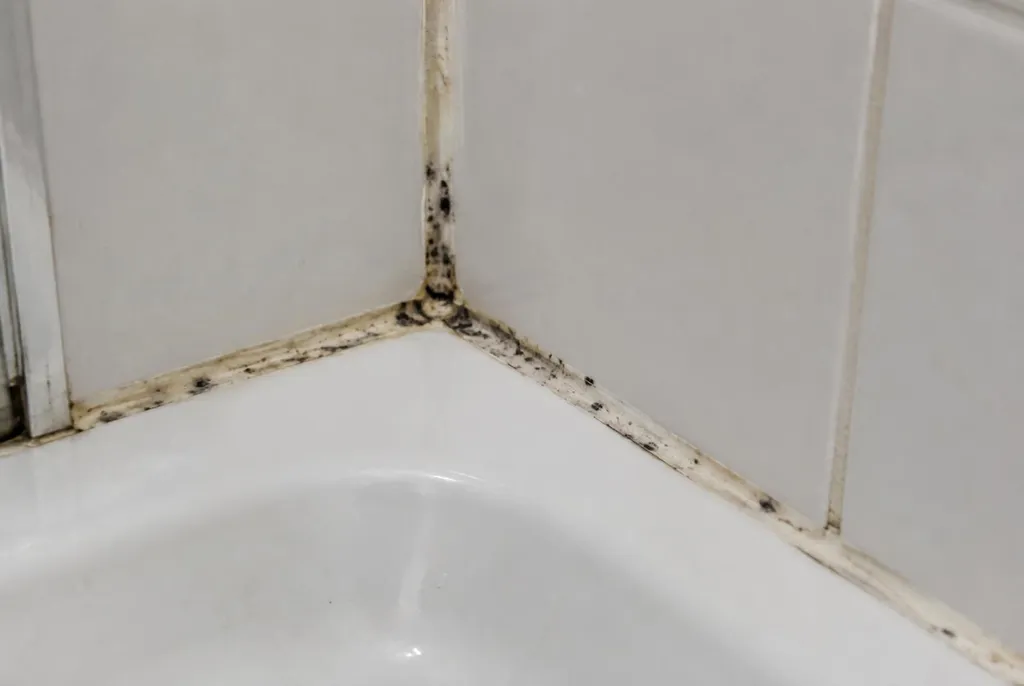Kitbedrijf Den Dolder – beschimmelde kitranden